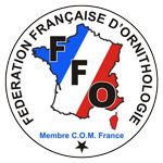 logo ffo